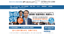 Desktop Screenshot of minavisa.com